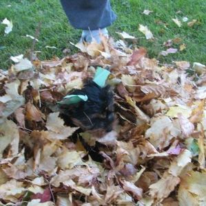 Meet your Posher, Crystal airron